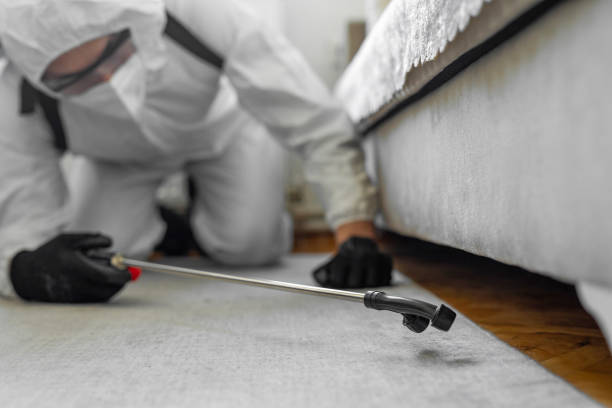 Professional Mosquito Control technician working in Clinton County County, MO